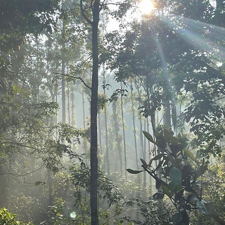 Rai'S Coorg Cave House Villa Мадикери Екстериор снимка
